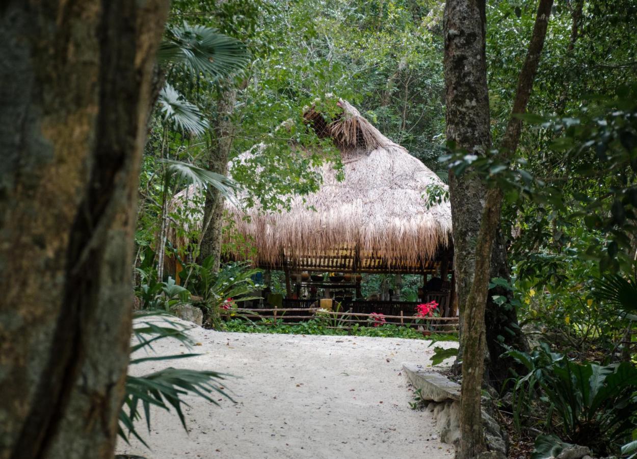 Hotel Rotamundos Mama Loomm Playa del Carmen Exteriér fotografie