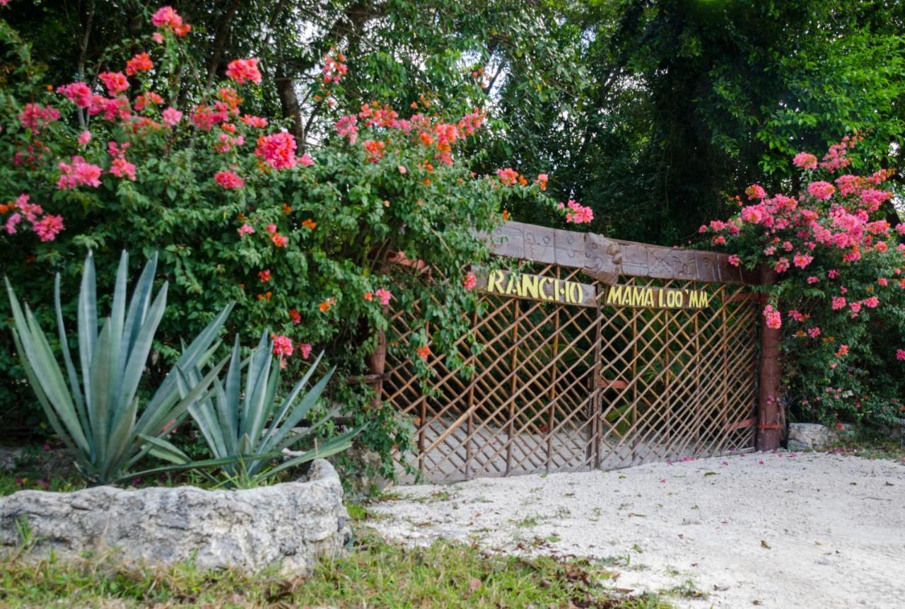 Hotel Rotamundos Mama Loomm Playa del Carmen Exteriér fotografie