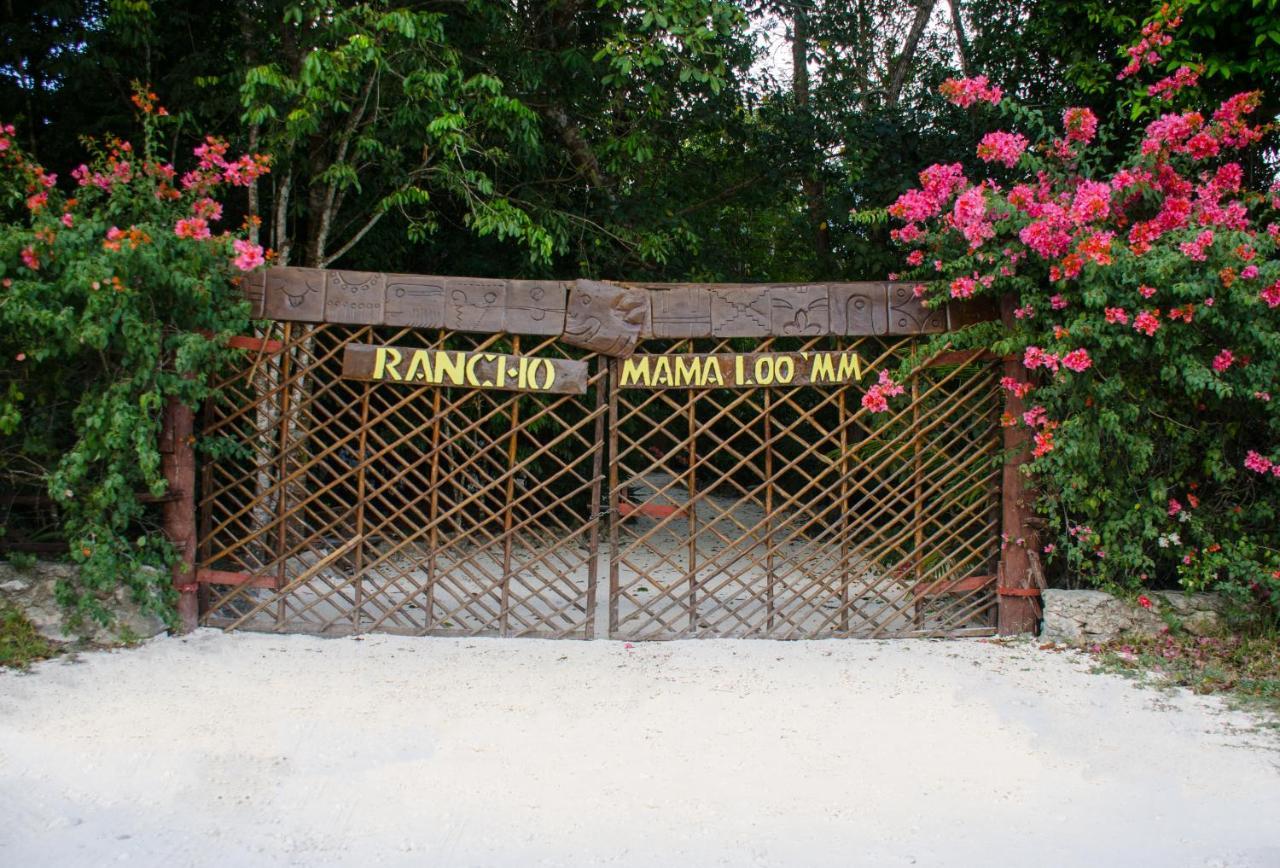 Hotel Rotamundos Mama Loomm Playa del Carmen Exteriér fotografie
